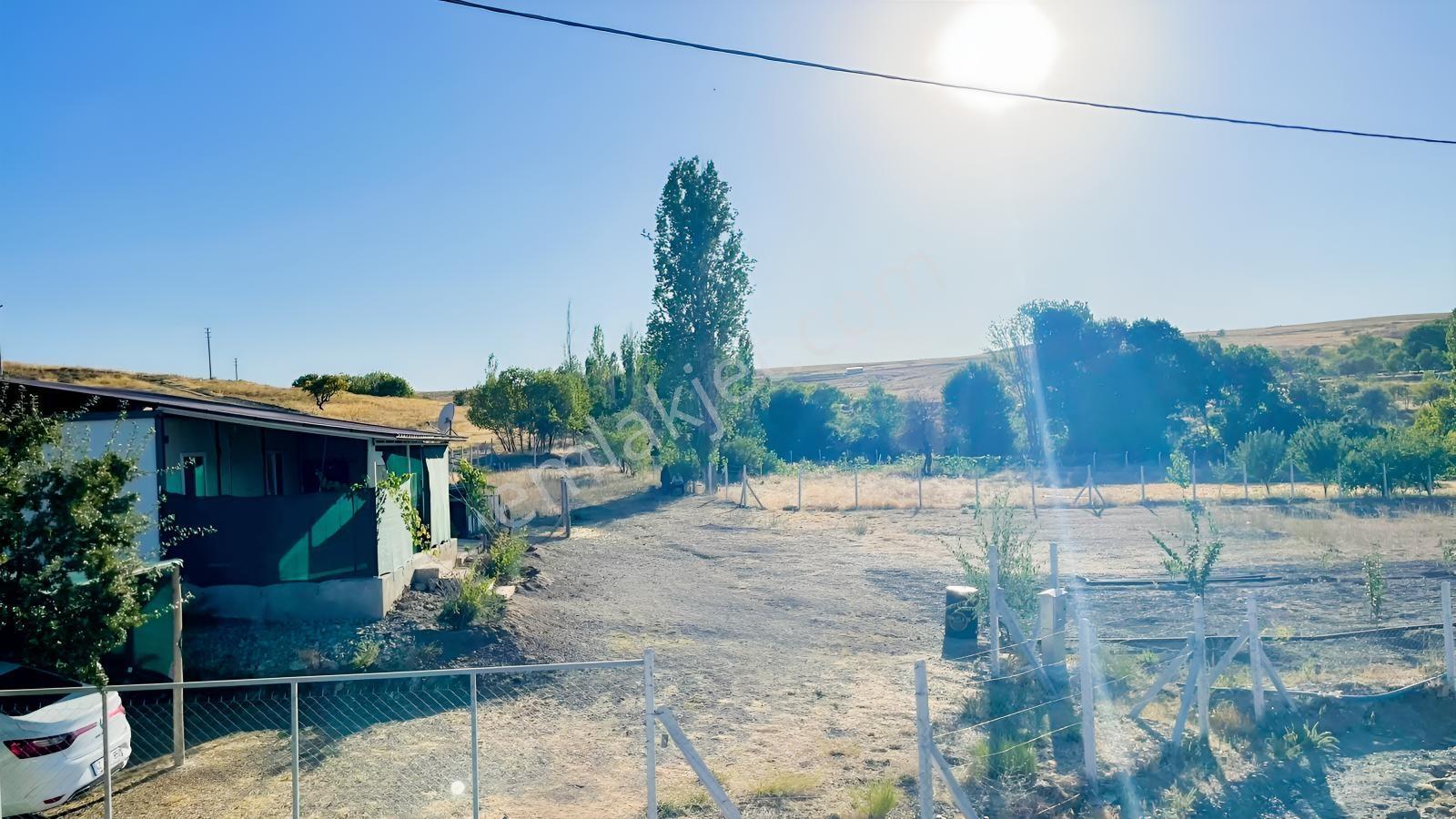 Meram - Karadiğin 3.371 M2 Bahçe Ve Evi Müstakil Tapulu — fotoğraf 32