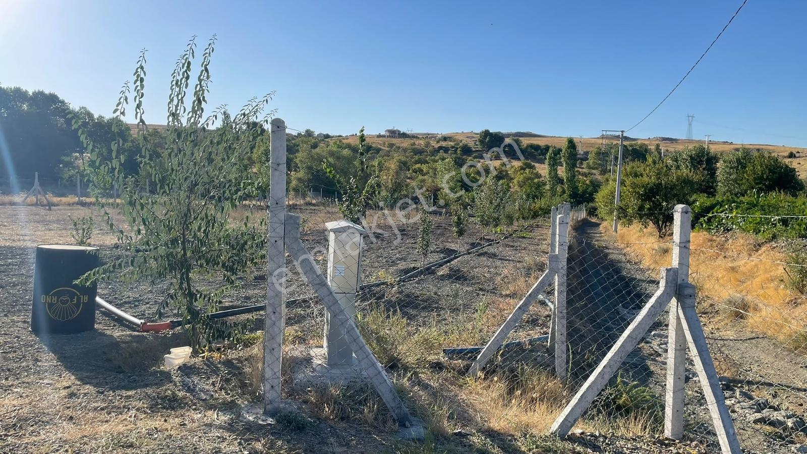 Meram - Karadiğin 3.371 M2 Bahçe Ve Evi Müstakil Tapulu — fotoğraf 33