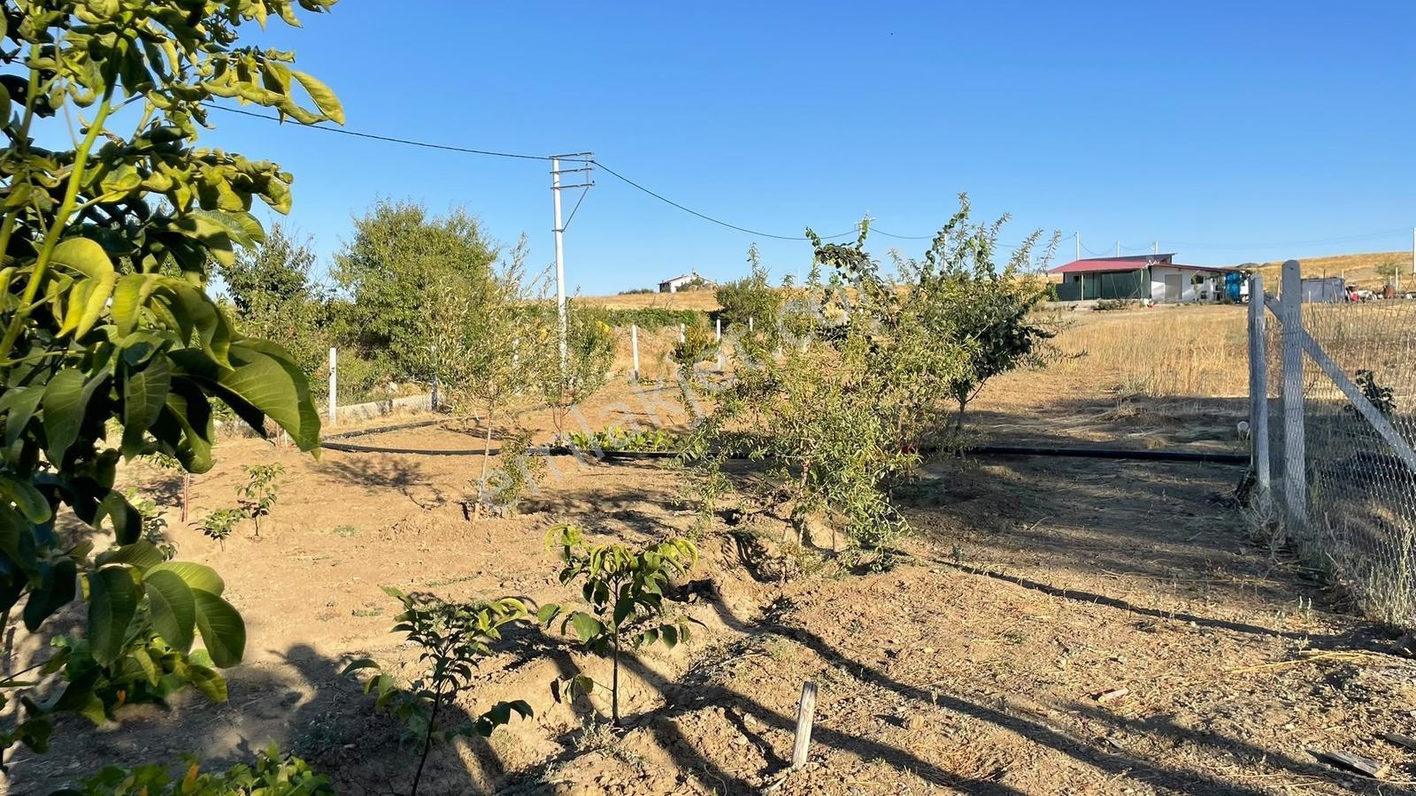Meram - Karadiğin 3.371 M2 Bahçe Ve Evi Müstakil Tapulu — fotoğraf 34