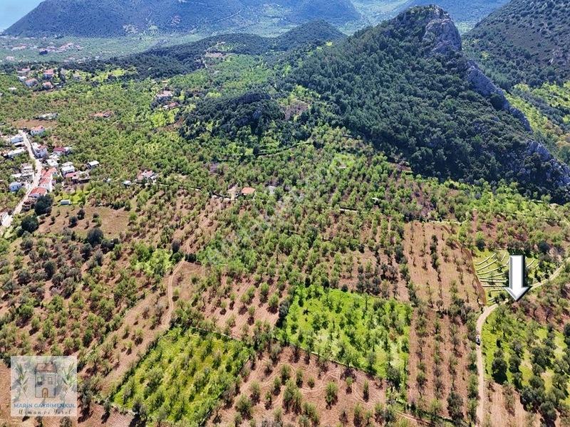 Marinden Palamutbükü 1.006 M2 Yerleşime Yakın Bahçe — fotoğraf 2