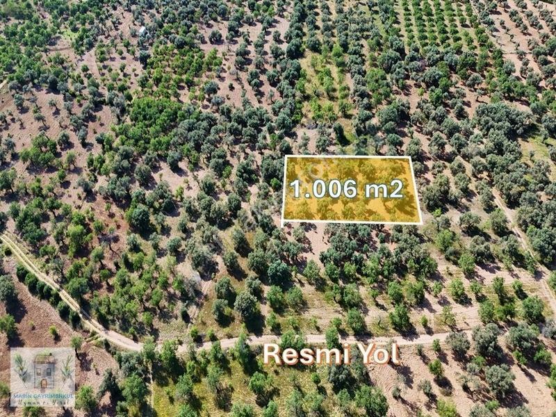 Marinden Palamutbükü 1.006 M2 Yerleşime Yakın Bahçe — fotoğraf 3