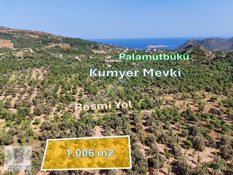 Marinden Palamutbükü 1.006 M2 Yerleşime Yakın Bahçe — fotoğraf 5