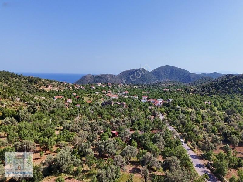 Marinden Palamutbükü 1.006 M2 Yerleşime Yakın Bahçe — fotoğraf 7