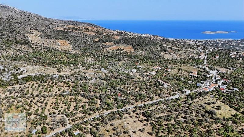 Marinden Palamutbükü 1.006 M2 Yerleşime Yakın Bahçe — fotoğraf 10