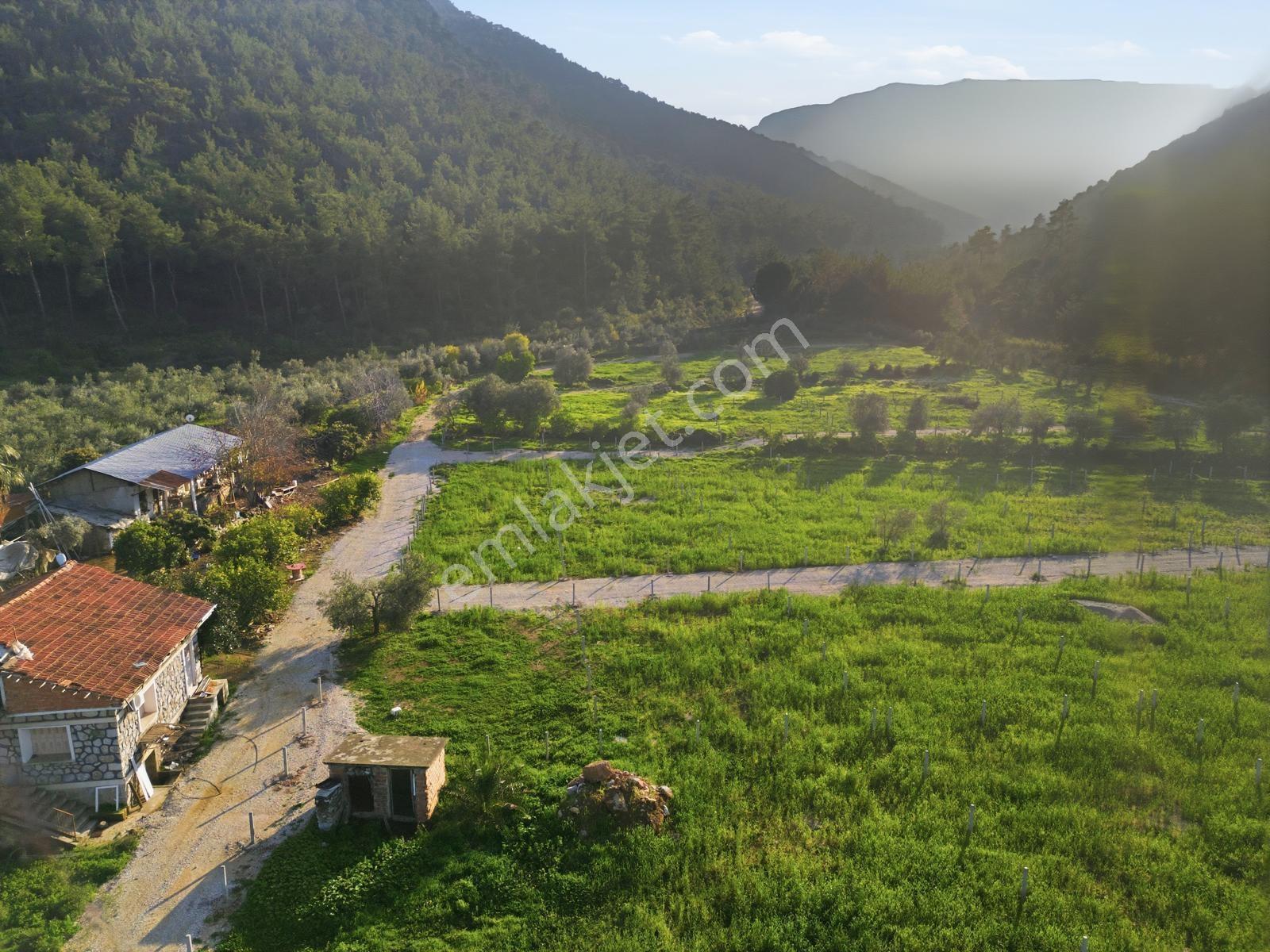 Bal Gayrimenkulden Doğanın İçinde 220 M2 Satılık Bahçeler