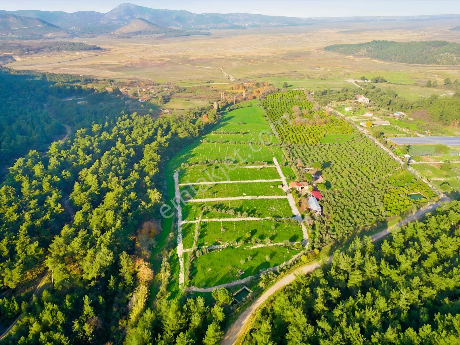 Bal Gayrimenkulden Doğanın İçinde 220 M2 Satılık Bahçeler — fotoğraf 2