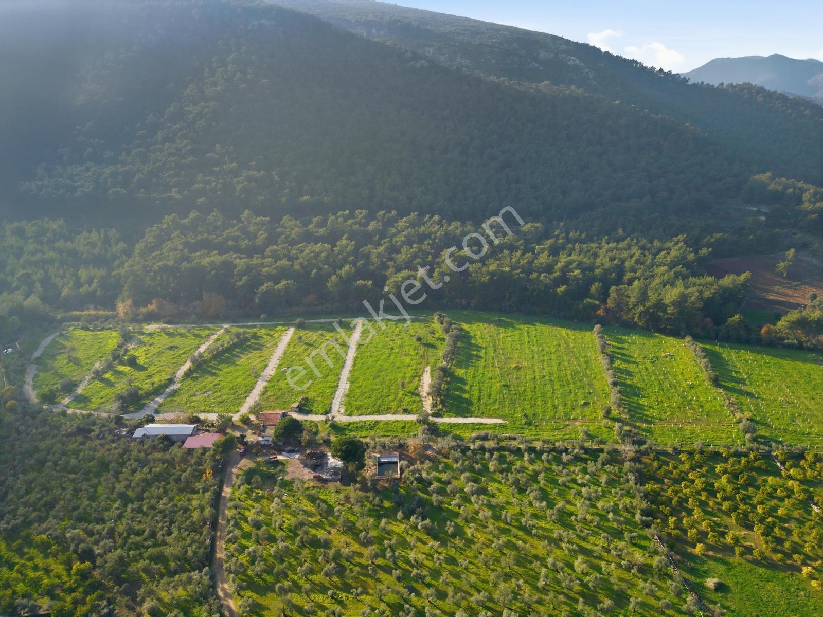Bal Gayrimenkulden Doğanın İçinde 220 M2 Satılık Bahçeler — fotoğraf 3