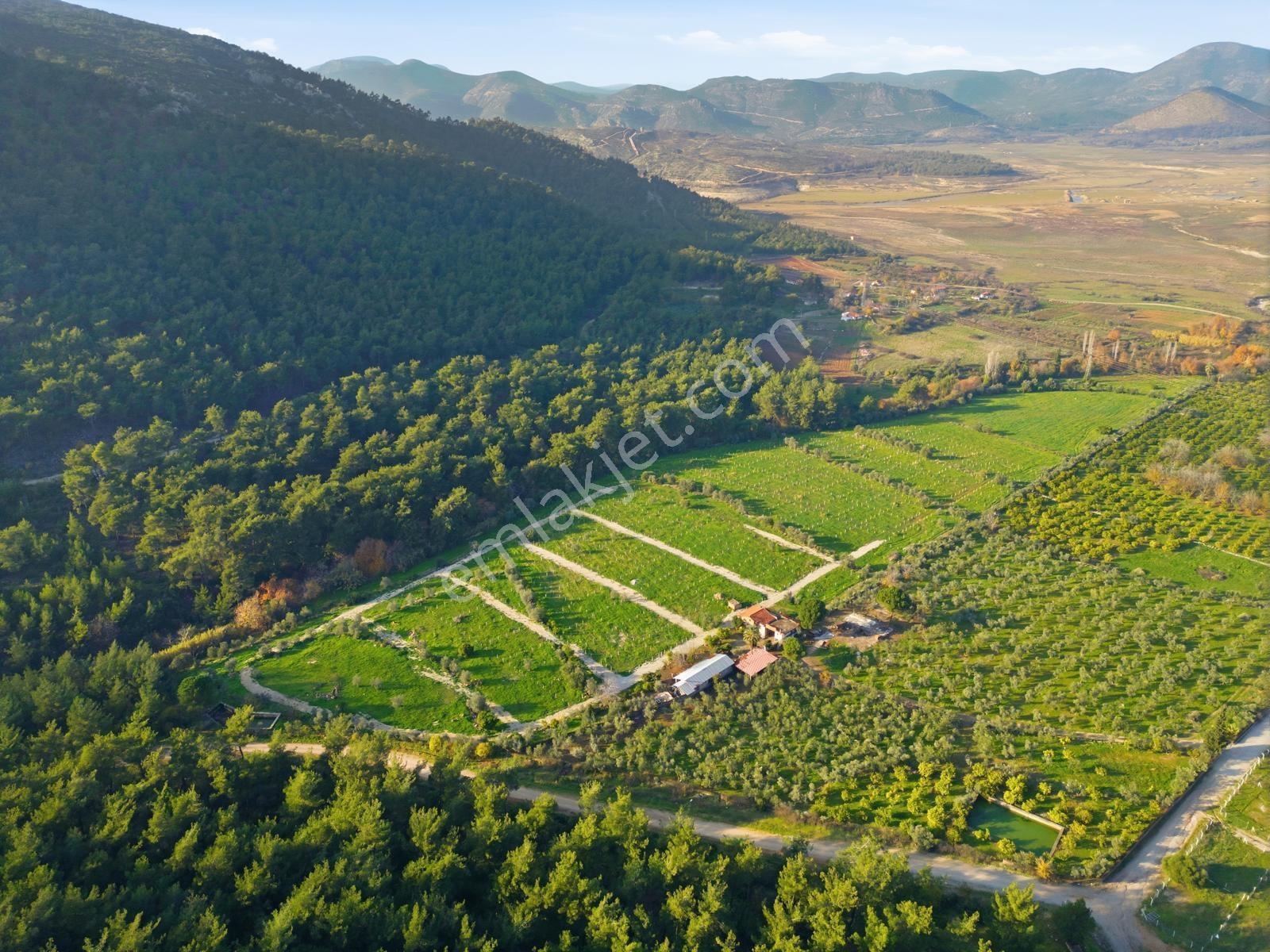 Bal Gayrimenkulden Doğanın İçinde 220 M2 Satılık Bahçeler — fotoğraf 4