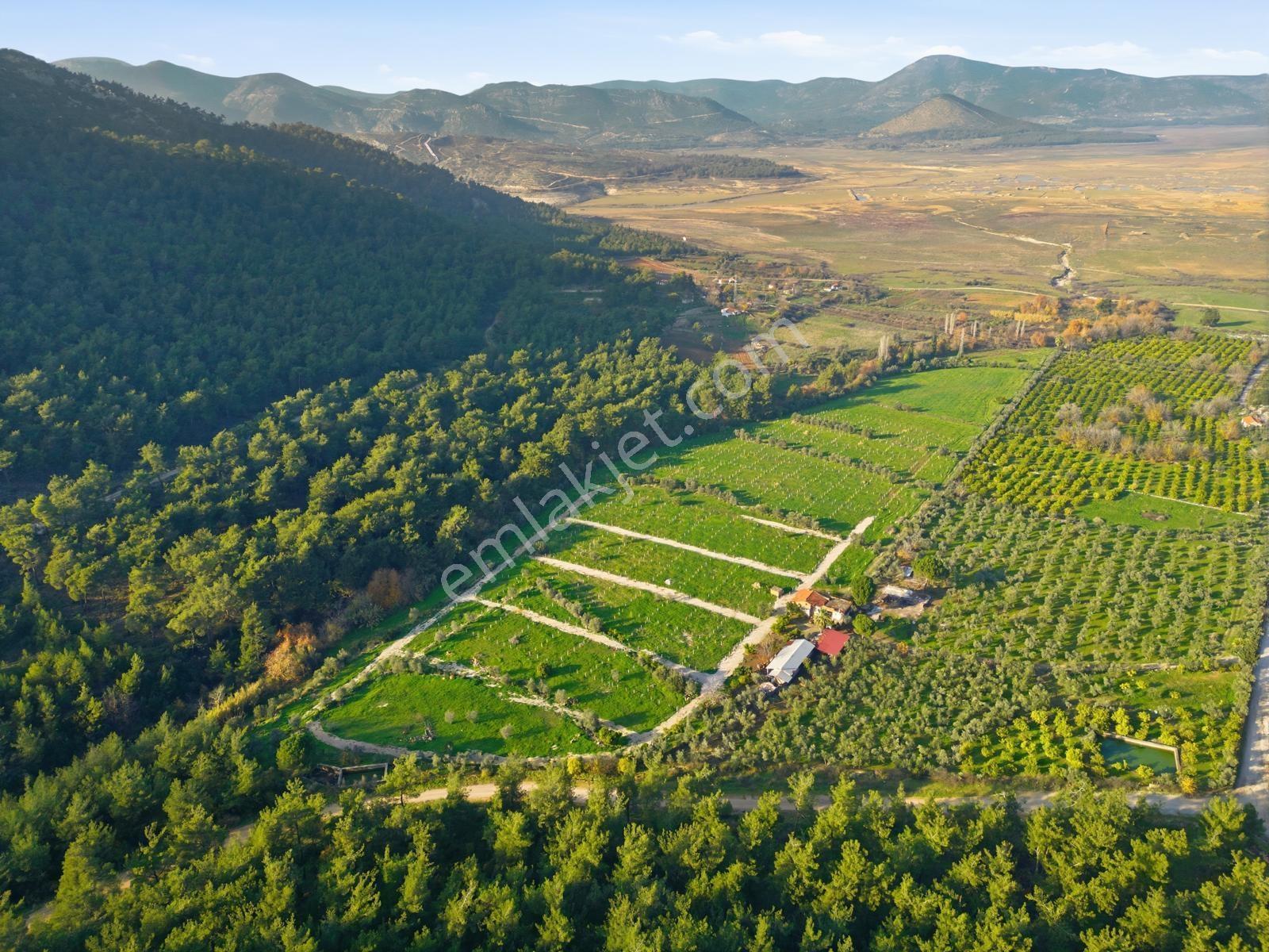 Bal Gayrimenkulden Doğanın İçinde 220 M2 Satılık Bahçeler — fotoğraf 5