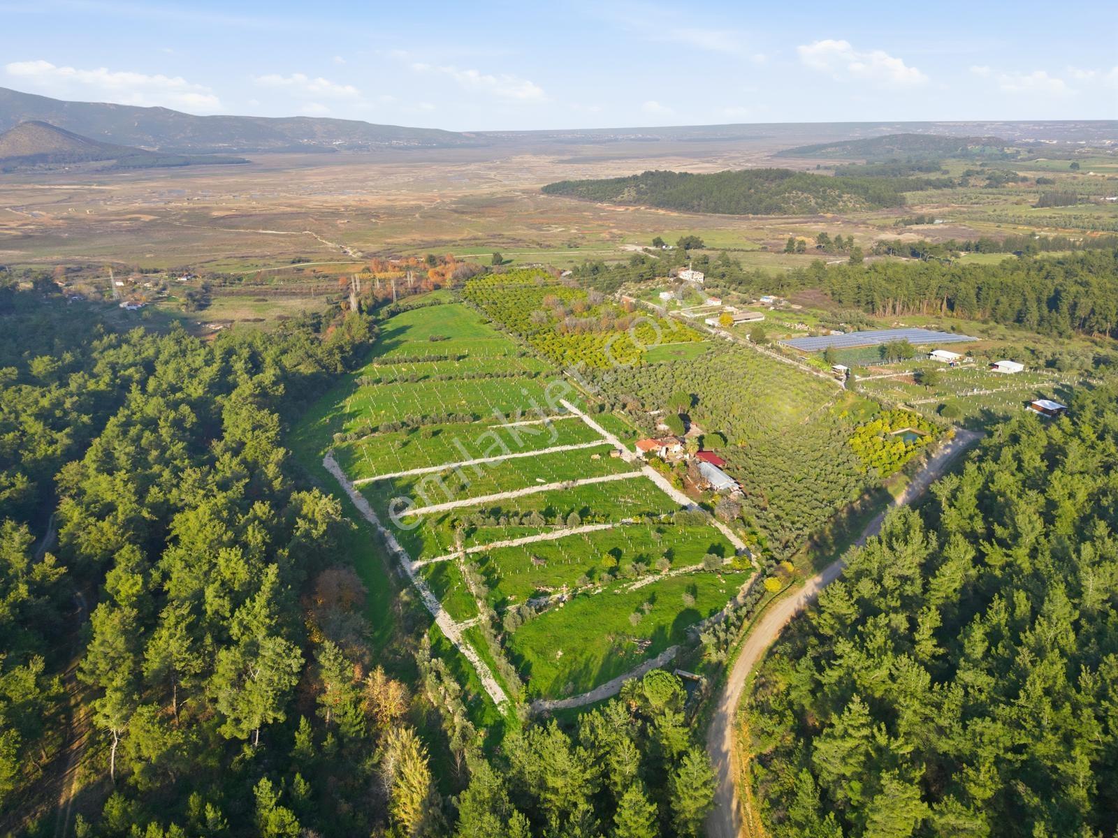 Bal Gayrimenkulden Doğanın İçinde 220 M2 Satılık Bahçeler — fotoğraf 6