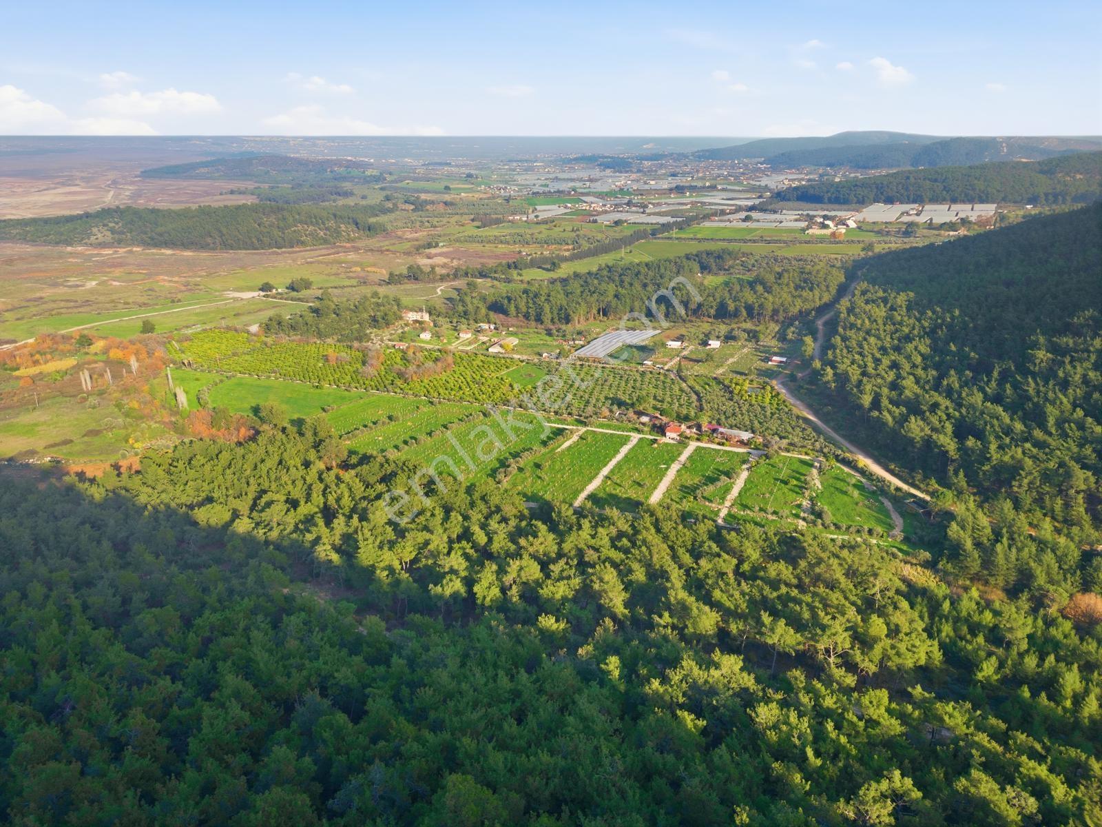 Bal Gayrimenkulden Doğanın İçinde 220 M2 Satılık Bahçeler — fotoğraf 7