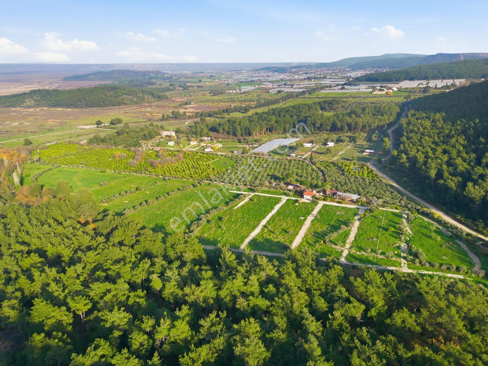 Bal Gayrimenkulden Doğanın İçinde 220 M2 Satılık Bahçeler — fotoğraf 8