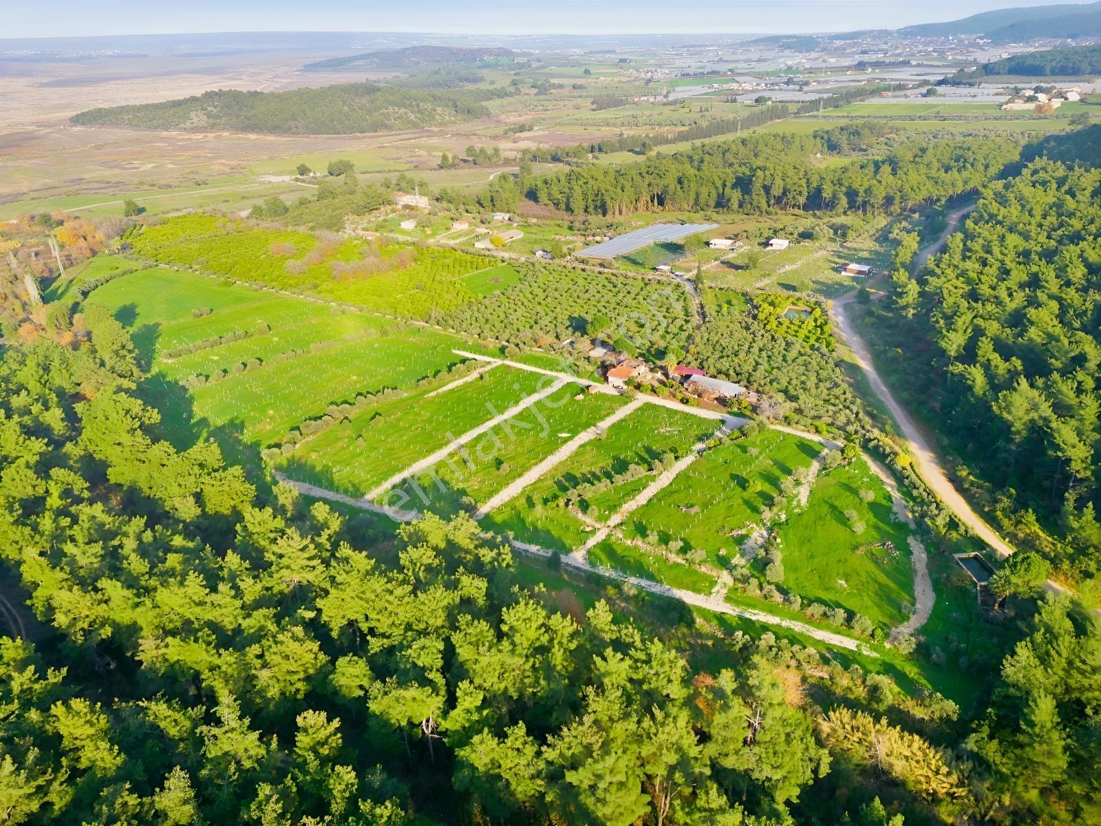 Bal Gayrimenkulden Doğanın İçinde 220 M2 Satılık Bahçeler — fotoğraf 9
