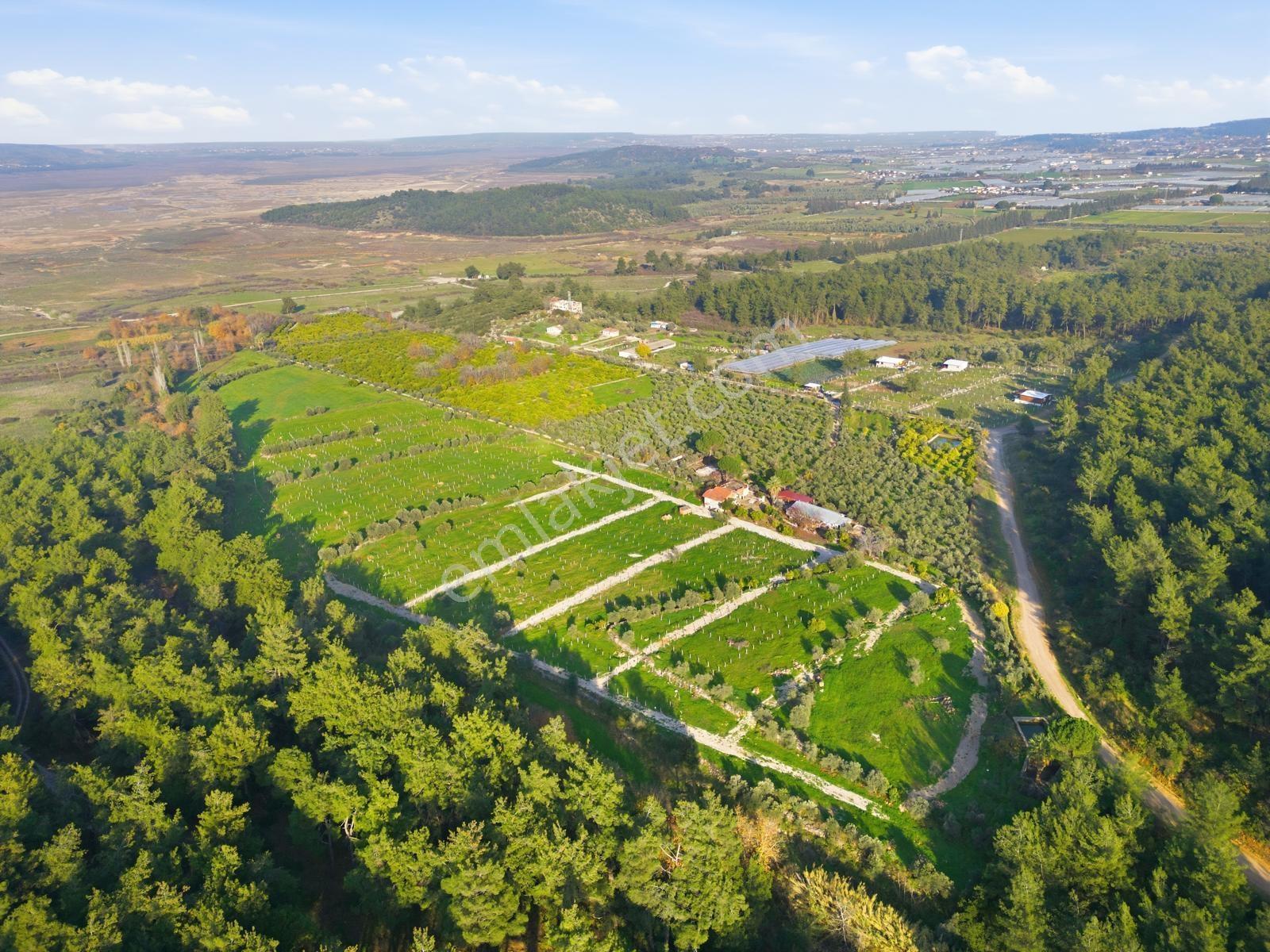 Bal Gayrimenkulden Doğanın İçinde 220 M2 Satılık Bahçeler — fotoğraf 10