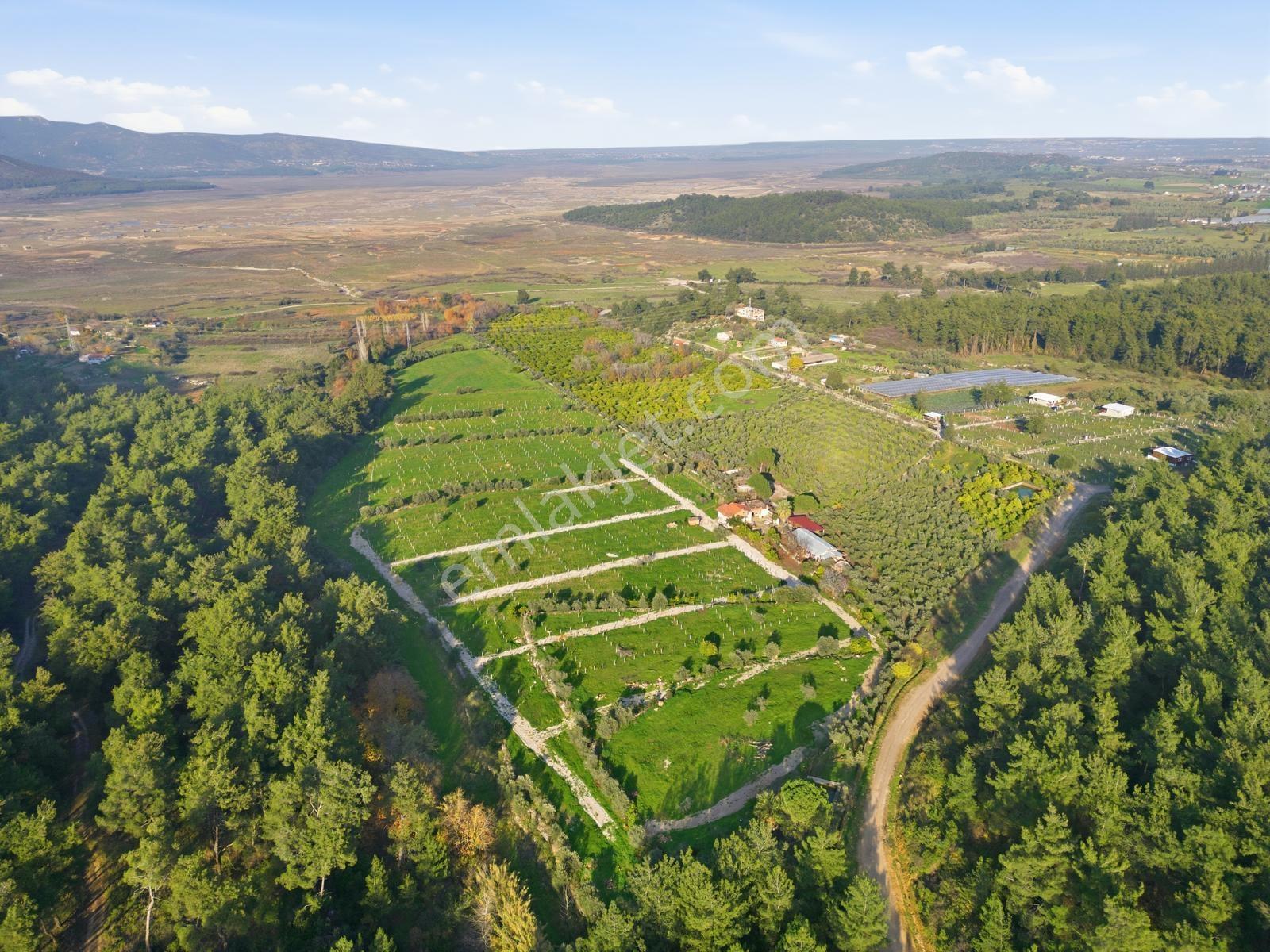 Bal Gayrimenkulden Doğanın İçinde 220 M2 Satılık Bahçeler — fotoğraf 12