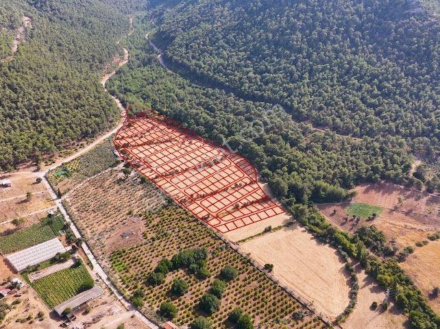 Bal Gayrimenkulden Doğanın İçinde 220 M2 Satılık Bahçeler — fotoğraf 13