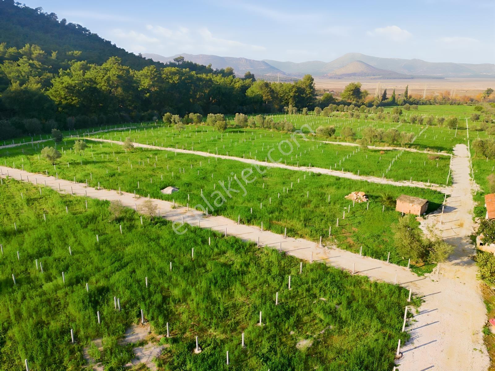Bal Gayrimenkulden Doğanın İçinde 220 M2 Satılık Bahçeler — fotoğraf 14