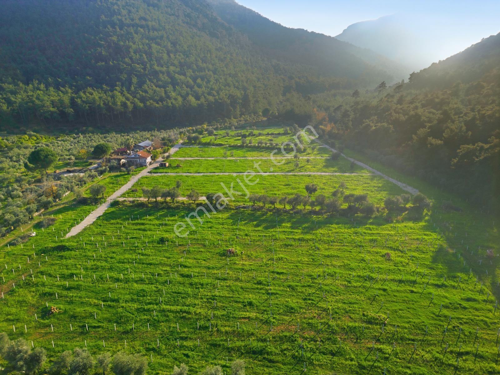 Bal Gayrimenkulden Doğanın İçinde 220 M2 Satılık Bahçeler — fotoğraf 15