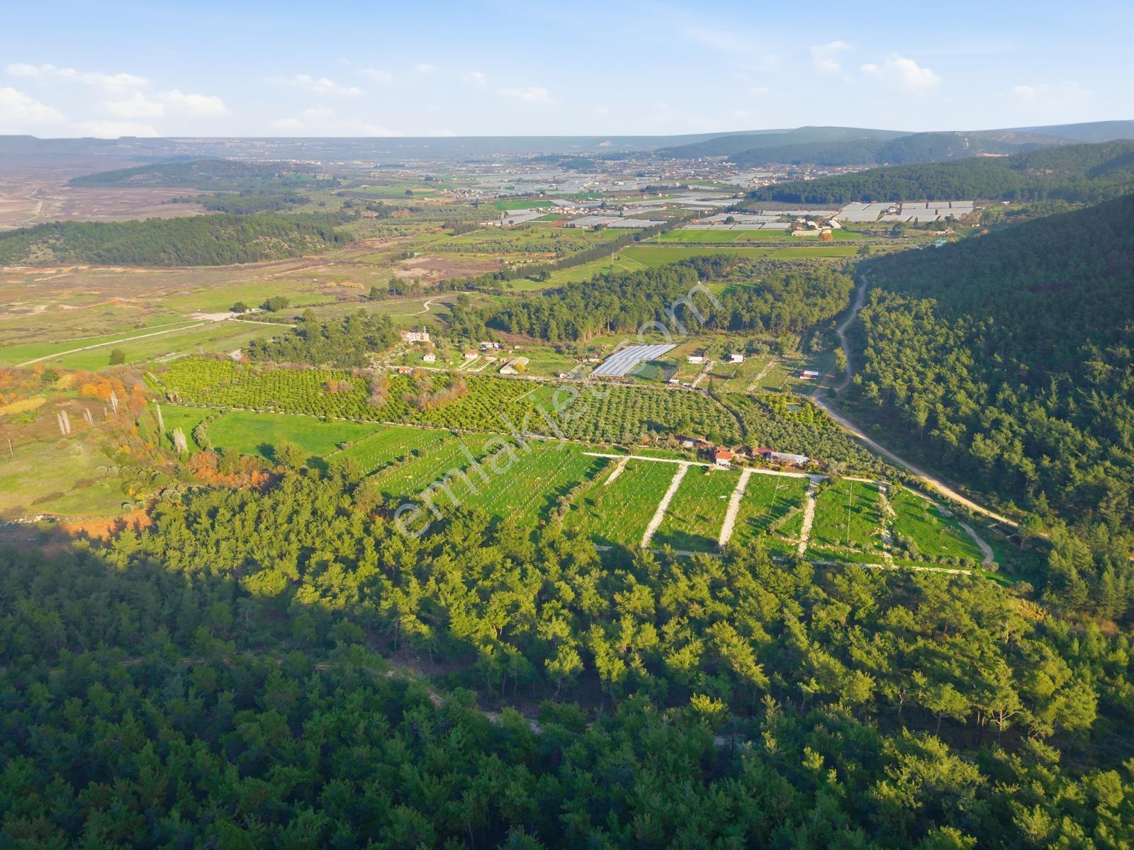 Bal Gayrimenkulden Doğanın İçinde 220 M2 Satılık Bahçeler — fotoğraf 16