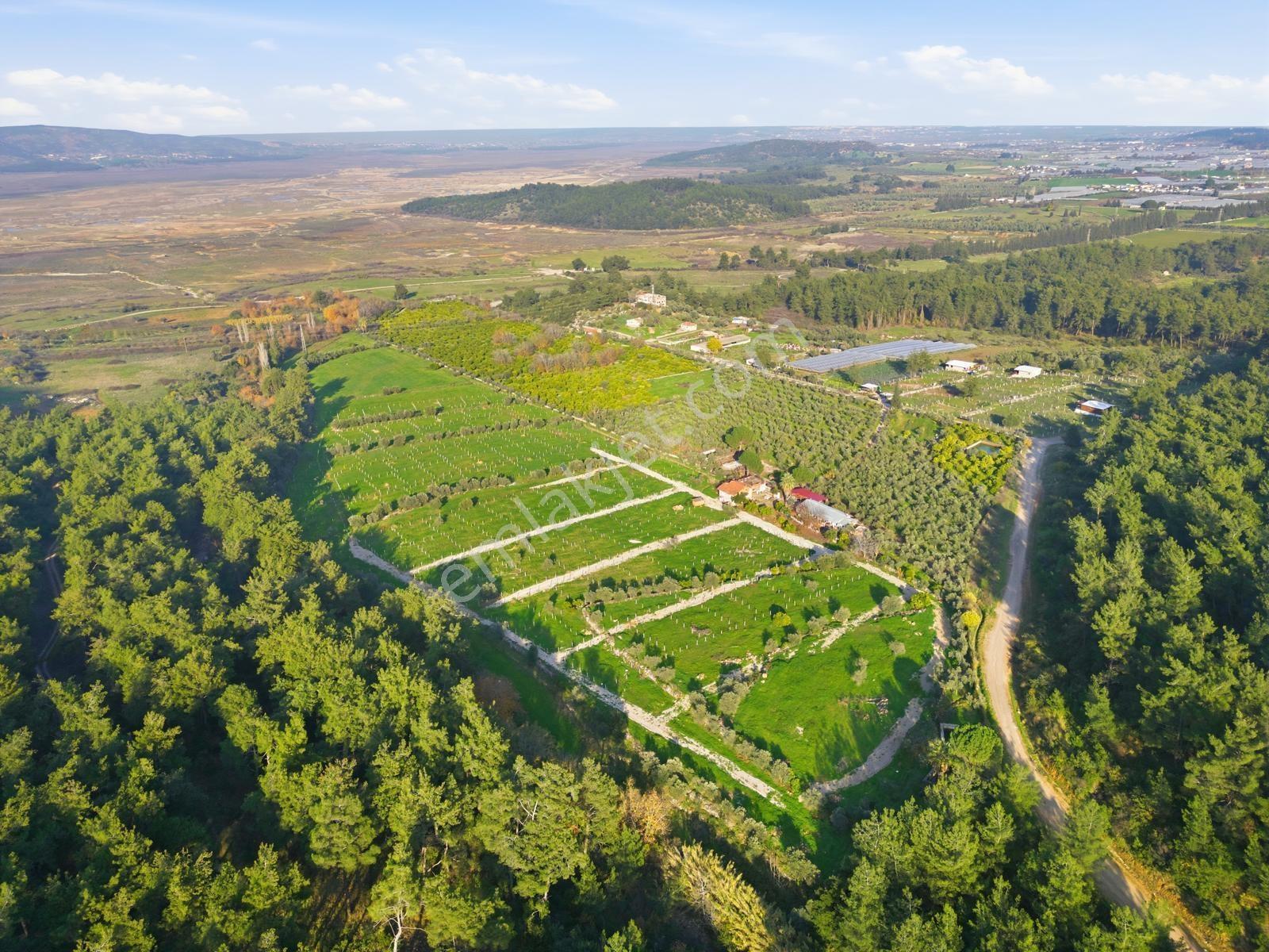 Bal Gayrimenkulden Doğanın İçinde 220 M2 Satılık Bahçeler — fotoğraf 17