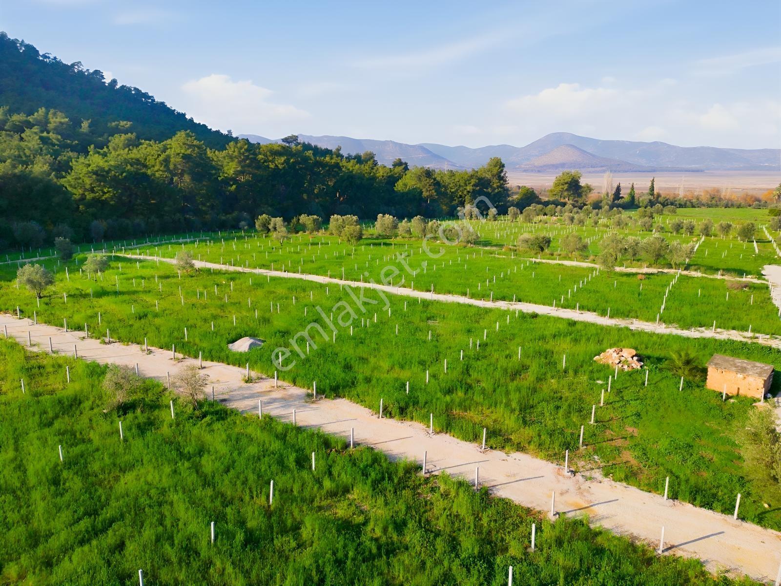 Bal Gayrimenkulden Doğanın İçinde 220 M2 Satılık Bahçeler — fotoğraf 18