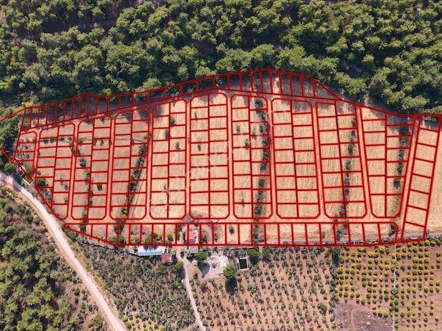 Bal Gayrimenkulden Doğanın İçinde 220 M2 Satılık Bahçeler — fotoğraf 19