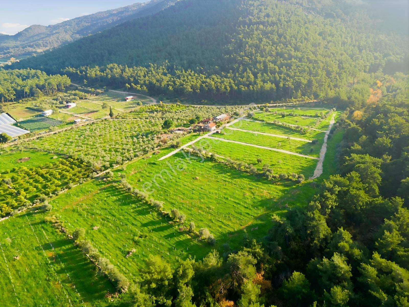 Bal Gayrimenkulden Doğanın İçinde 220 M2 Satılık Bahçeler — fotoğraf 20