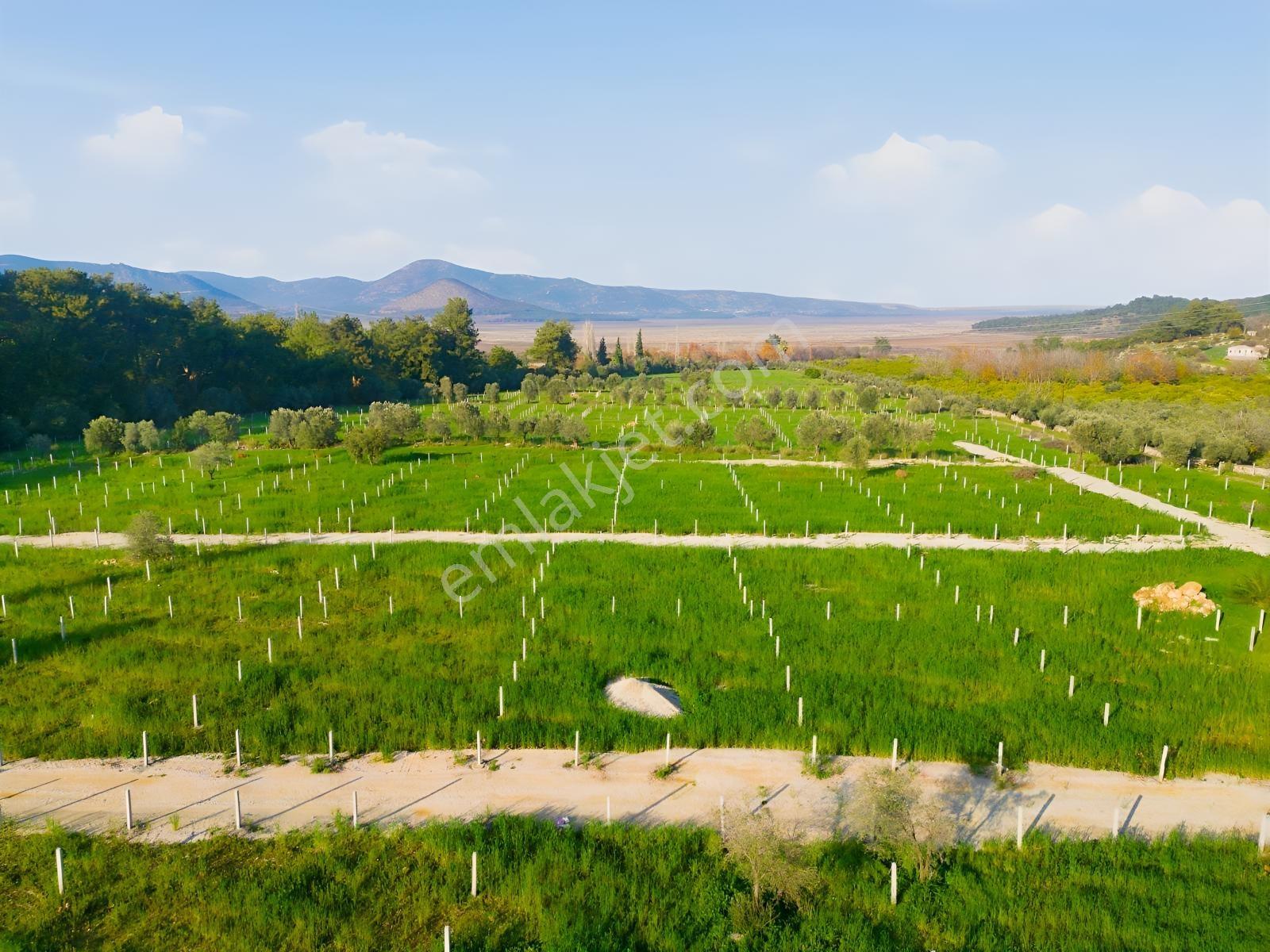 Bal Gayrimenkulden Doğanın İçinde 220 M2 Satılık Bahçeler — fotoğraf 21