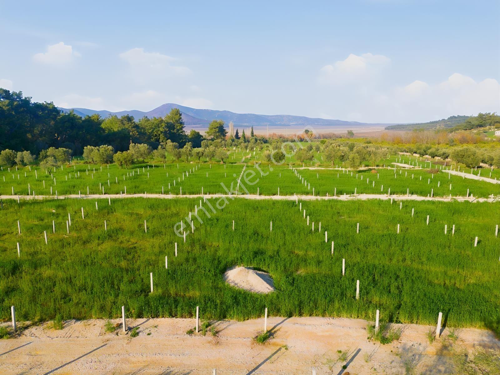 Bal Gayrimenkulden Doğanın İçinde 220 M2 Satılık Bahçeler — fotoğraf 22