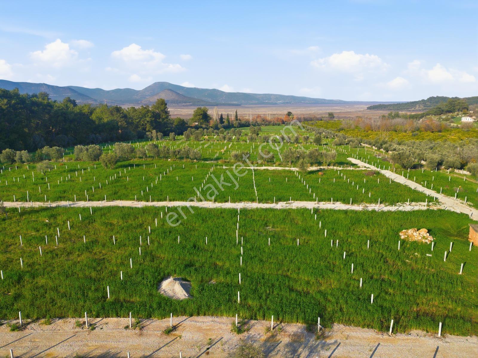 Bal Gayrimenkulden Doğanın İçinde 220 M2 Satılık Bahçeler — fotoğraf 23