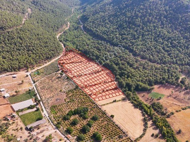 Bal Gayrimenkulden Doğanın İçinde 220 M2 Satılık Bahçeler — fotoğraf 24