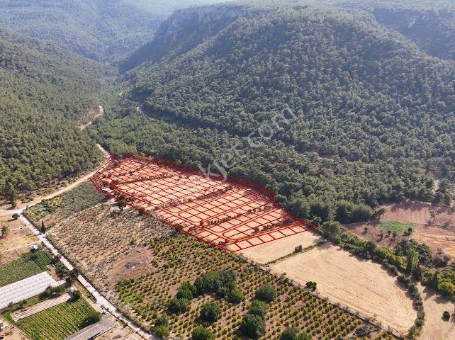 Bal Gayrimenkulden Doğanın İçinde 220 M2 Satılık Bahçeler — fotoğraf 26