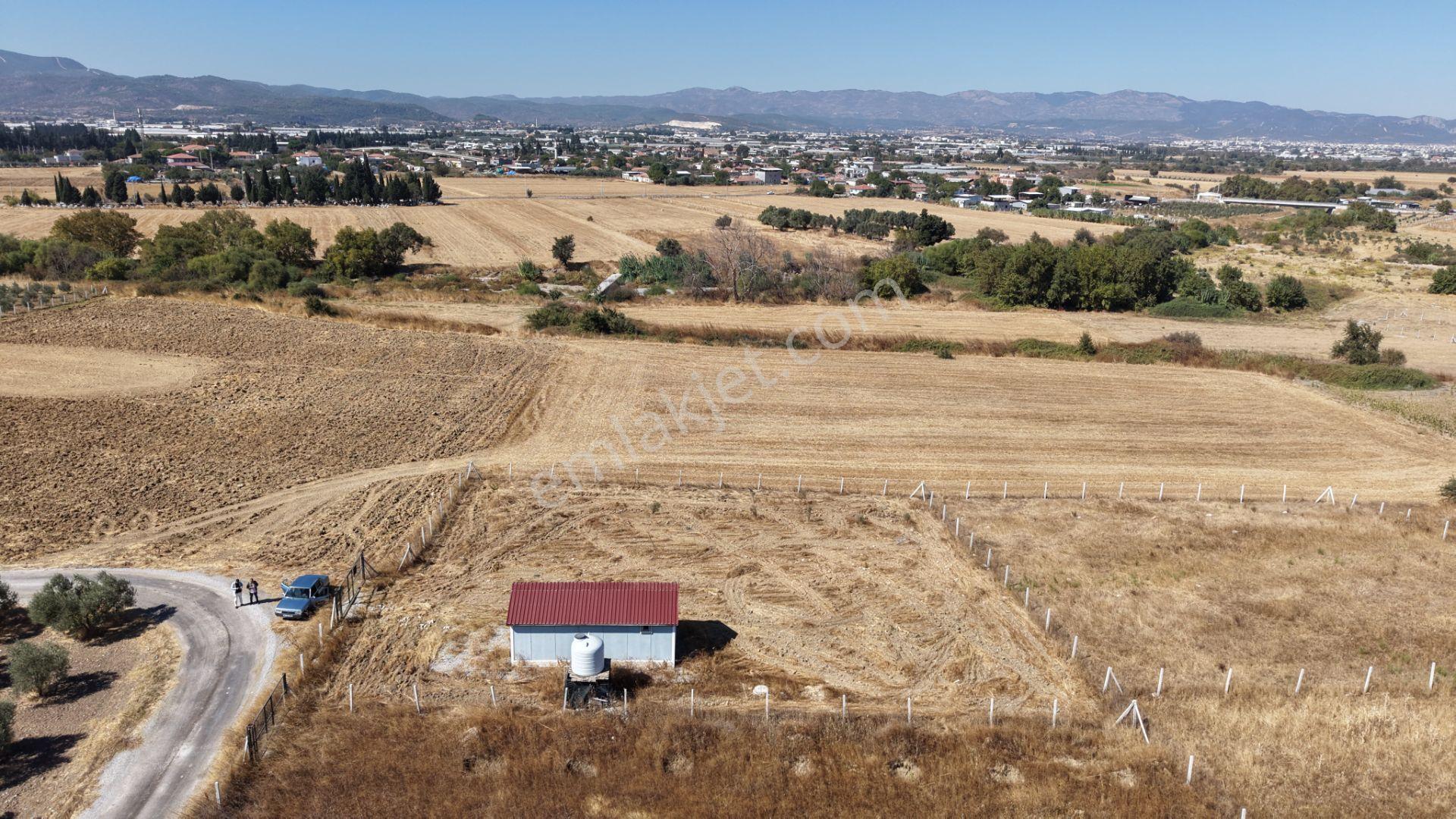 İzmir Tekelide Satılık 1.462 M2 Tapulu 25 M2 Ev İzbana Yakın Bahçe — fotoğraf 4