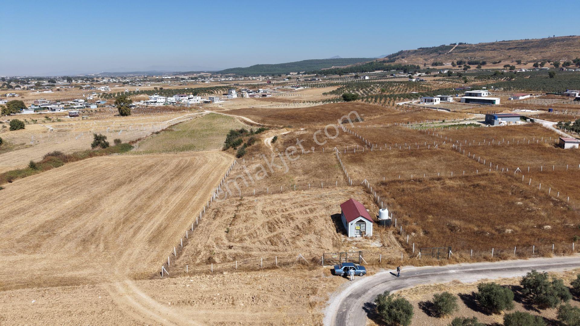 İzmir Tekelide Satılık 1.462 M2 Tapulu 25 M2 Ev İzbana Yakın Bahçe — fotoğraf 5