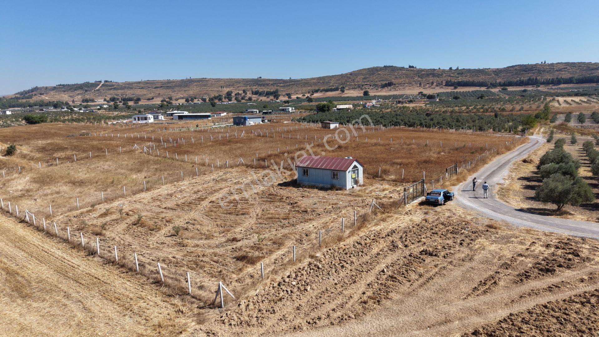 İzmir Tekelide Satılık 1.462 M2 Tapulu 25 M2 Ev İzbana Yakın Bahçe — fotoğraf 6