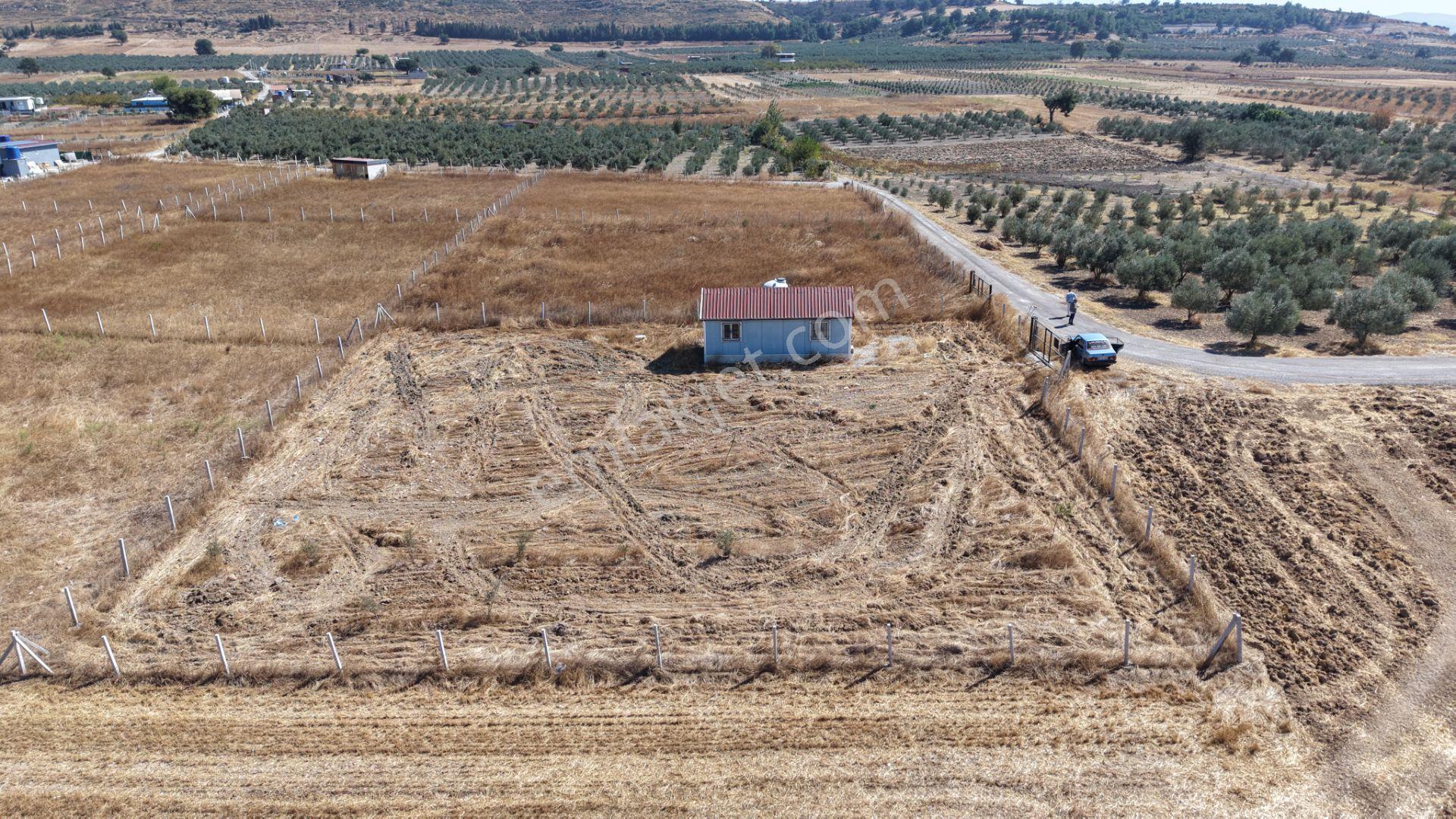 İzmir Tekelide Satılık 1.462 M2 Tapulu 25 M2 Ev İzbana Yakın Bahçe — fotoğraf 7