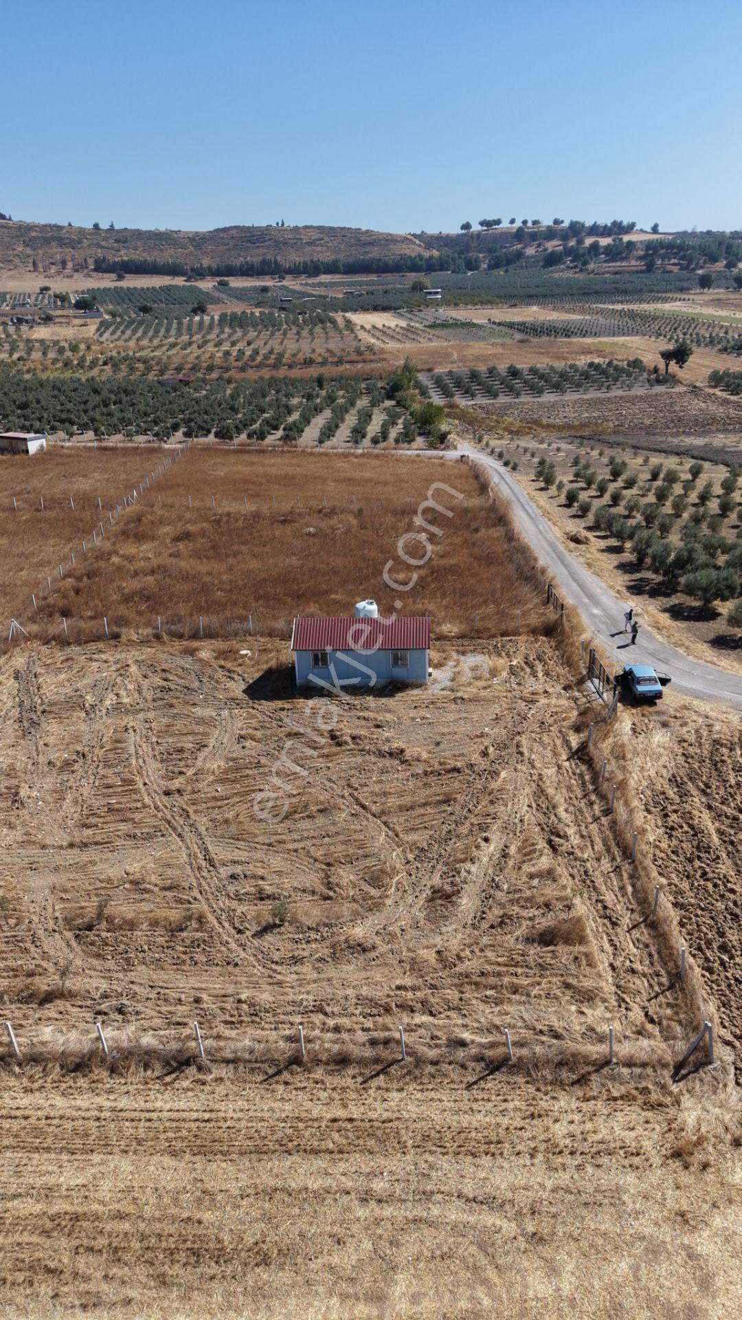İzmir Tekelide Satılık 1.462 M2 Tapulu 25 M2 Ev İzbana Yakın Bahçe — fotoğraf 8