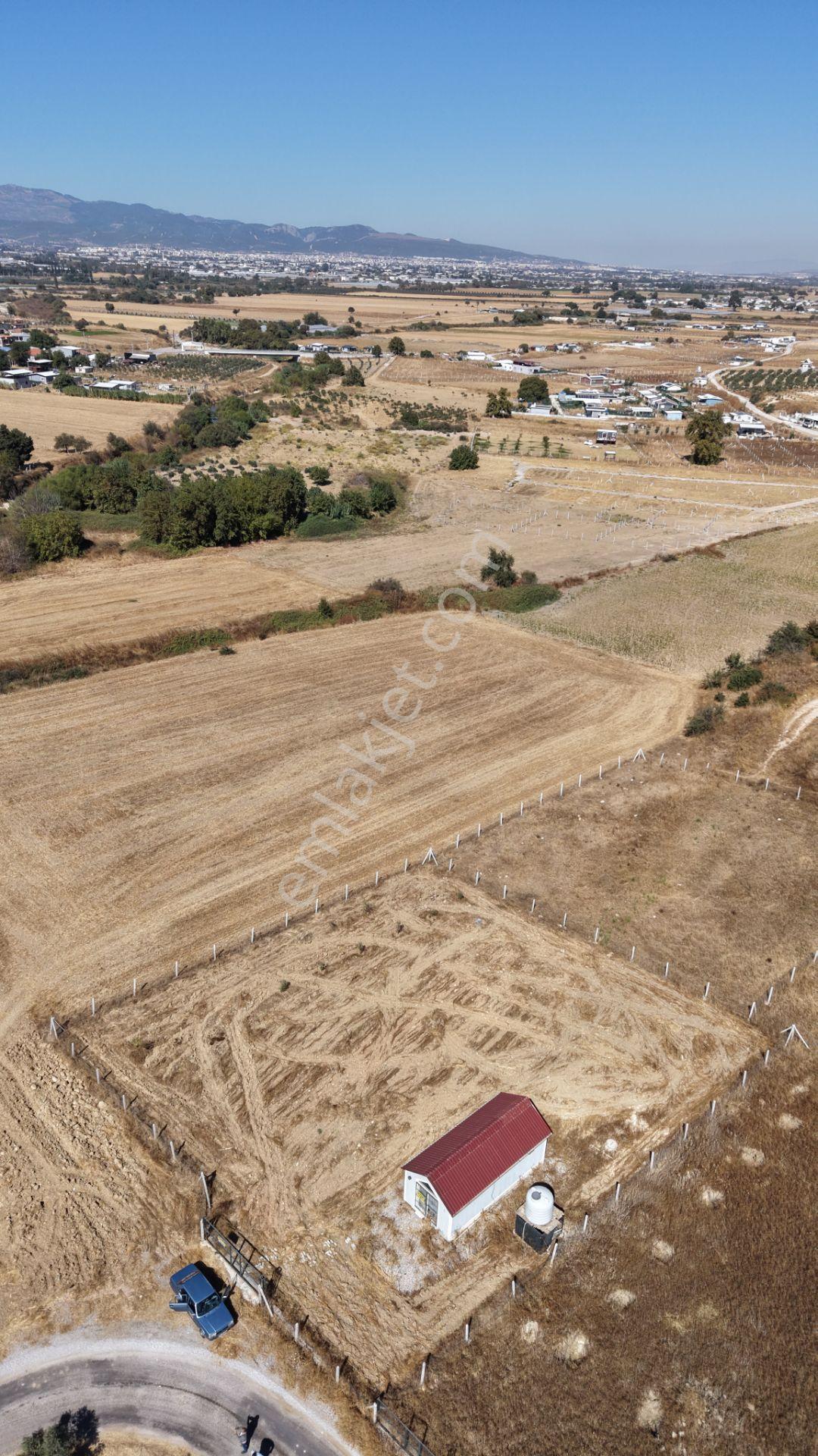 İzmir Tekelide Satılık 1.462 M2 Tapulu 25 M2 Ev İzbana Yakın Bahçe — fotoğraf 11