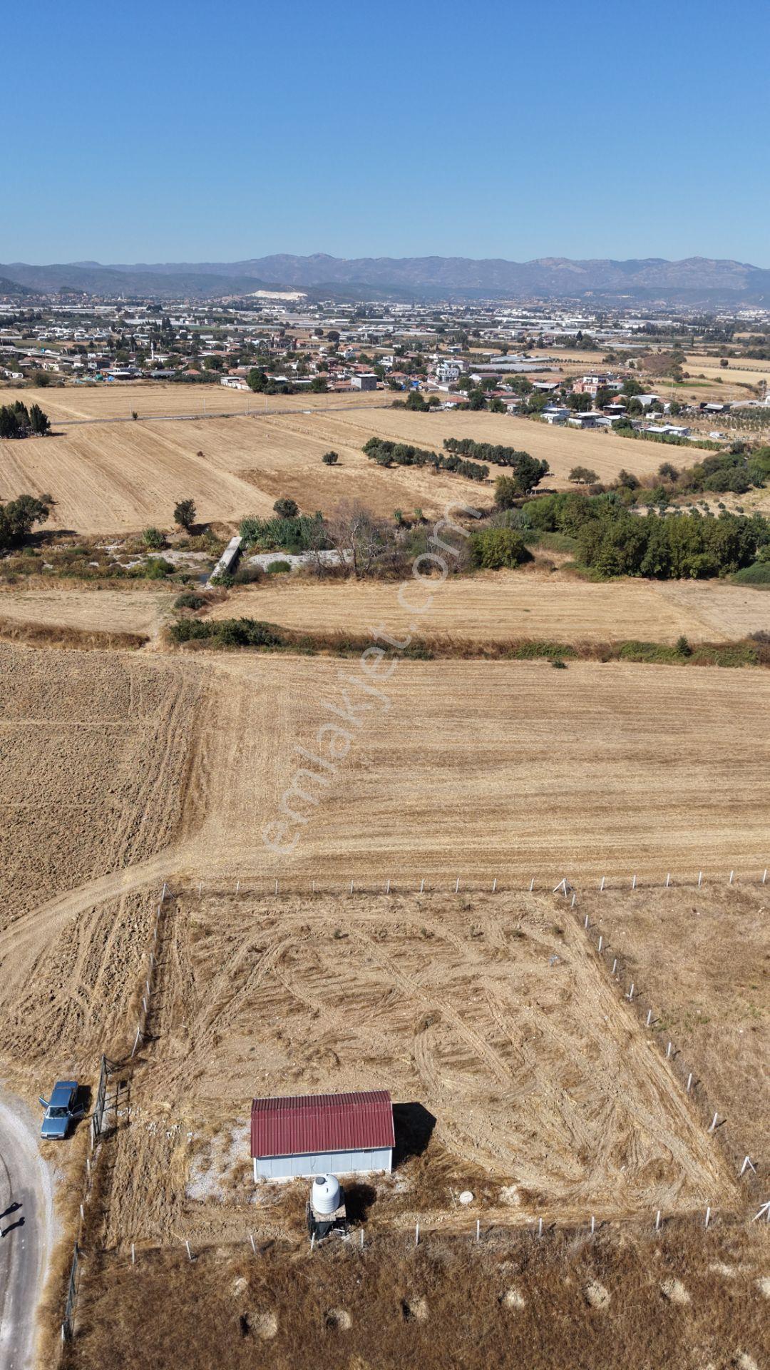 İzmir Tekelide Satılık 1.462 M2 Tapulu 25 M2 Ev İzbana Yakın Bahçe — fotoğraf 12