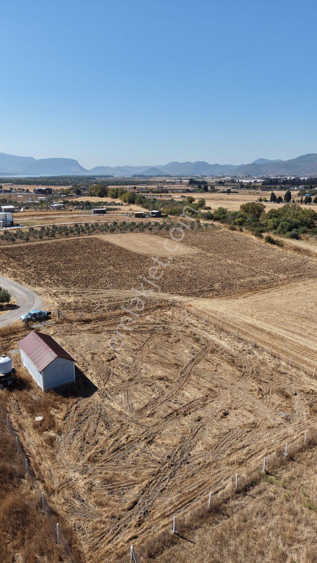İzmir Tekelide Satılık 1.462 M2 Tapulu 25 M2 Ev İzbana Yakın Bahçe — fotoğraf 13