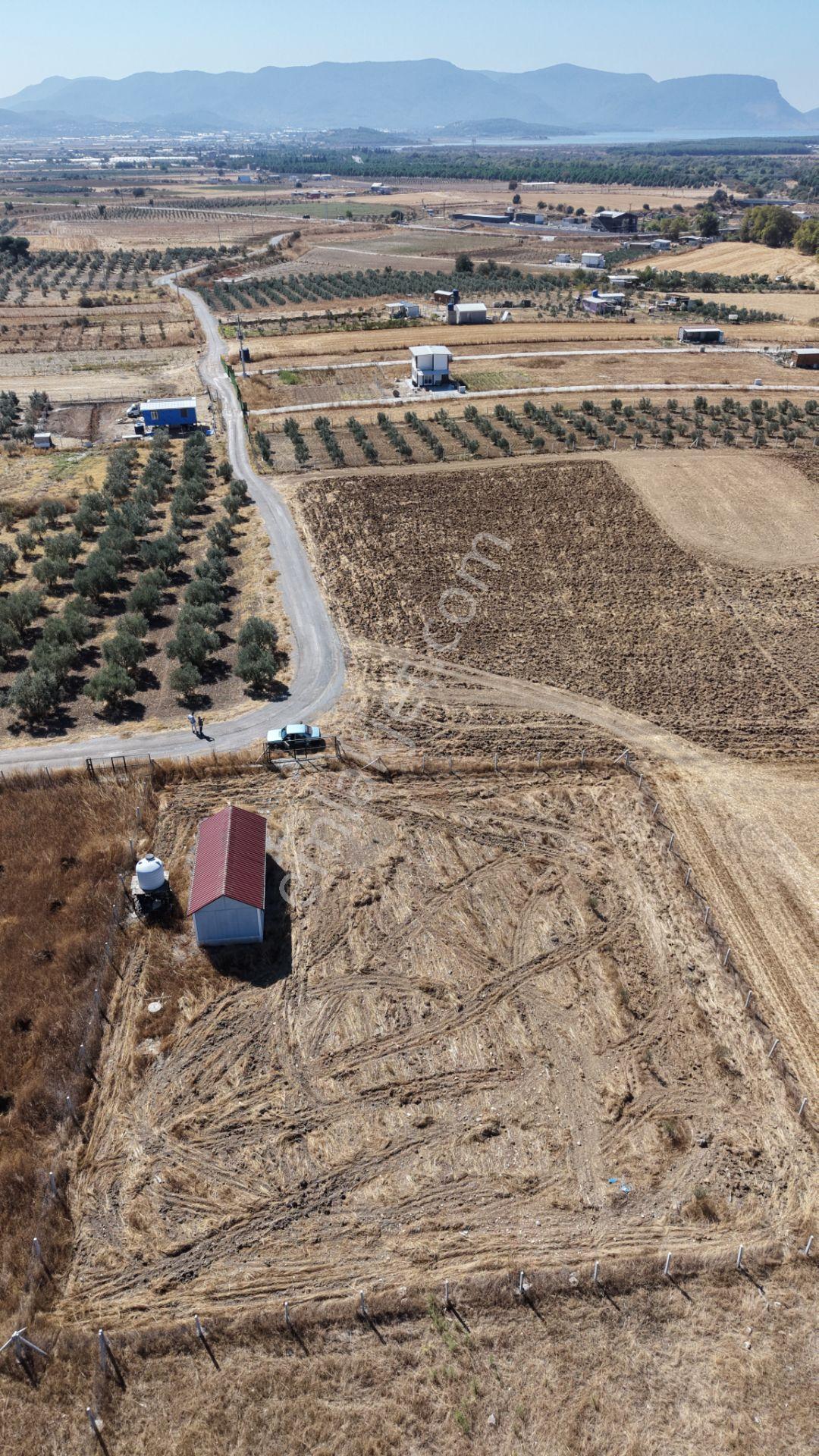 İzmir Tekelide Satılık 1.462 M2 Tapulu 25 M2 Ev İzbana Yakın Bahçe — fotoğraf 14