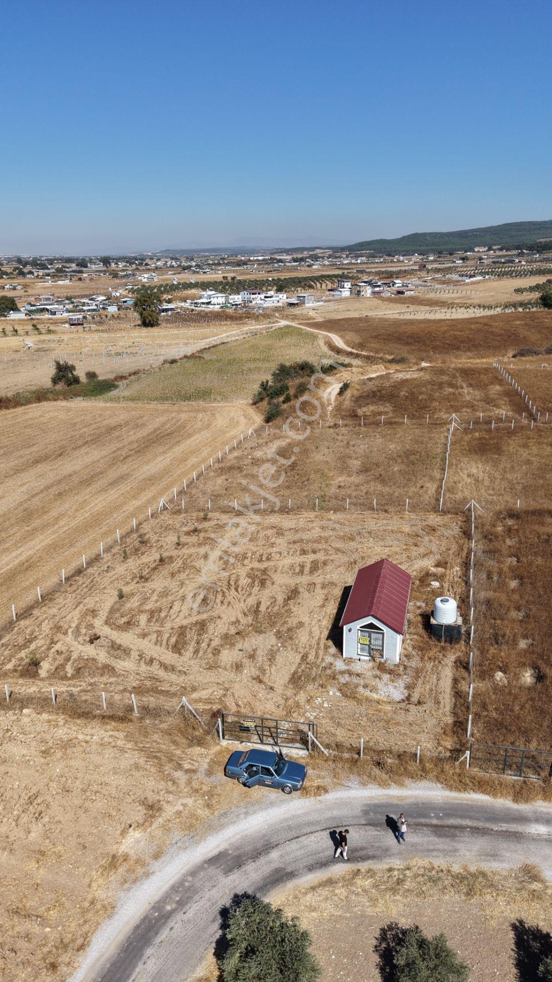 İzmir Tekelide Satılık 1.462 M2 Tapulu 25 M2 Ev İzbana Yakın Bahçe — fotoğraf 15