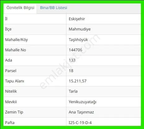 Rw Detay Dan Mahmudiyede Satılık Tarla — fotoğraf 5