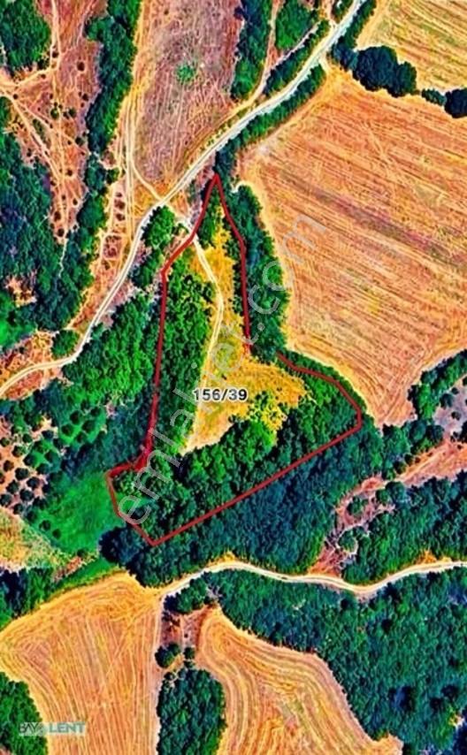 Baylent Gayrımenkul'Den Bıgadıç Çekırdeklı'De Güzel Arazi