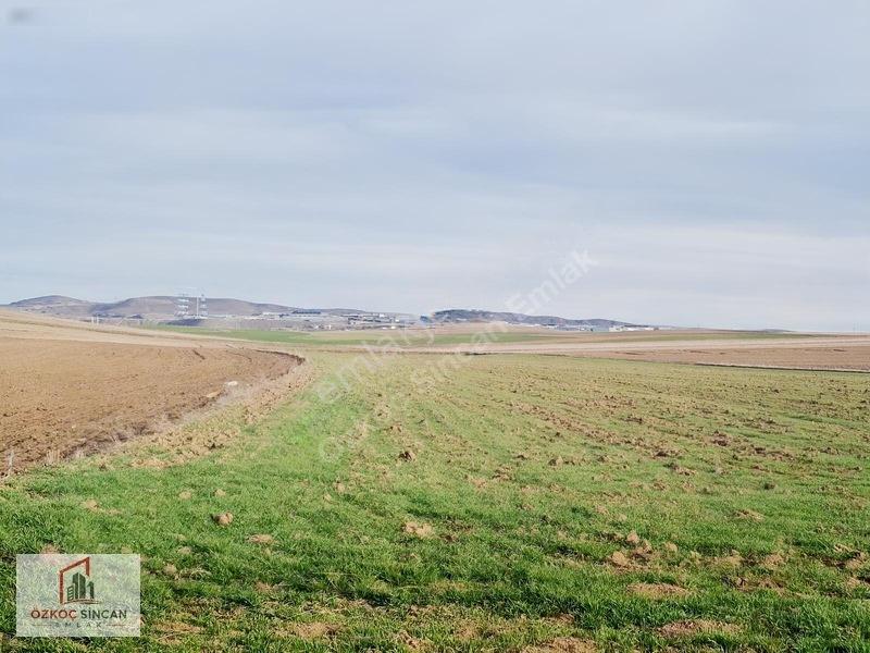 Sincan Polatlar 1.5 Emsal, 768 M² Küçük Sanayi Arsası — fotoğraf 32
