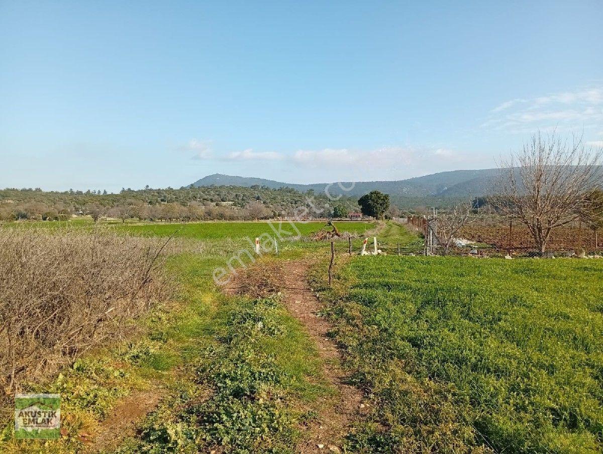 Urla Zeytinler Dağovacık Ta Satılık 2715 Mt Düz Yolu Olan Tarla Akustik Emlaktan