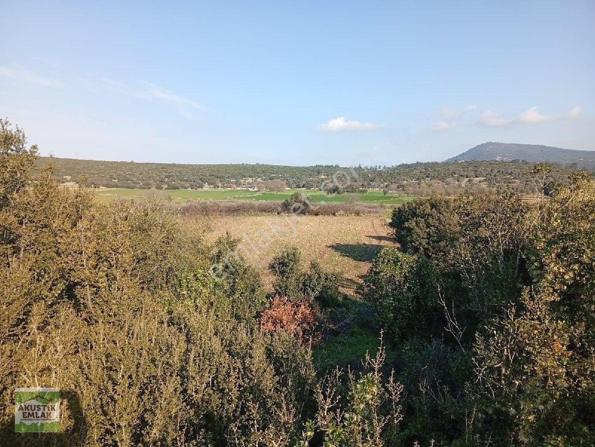 Urla Zeytinler Dağovacık Ta Satılık 2715 Mt Düz Yolu Olan Tarla Akustik Emlaktan — fotoğraf 2