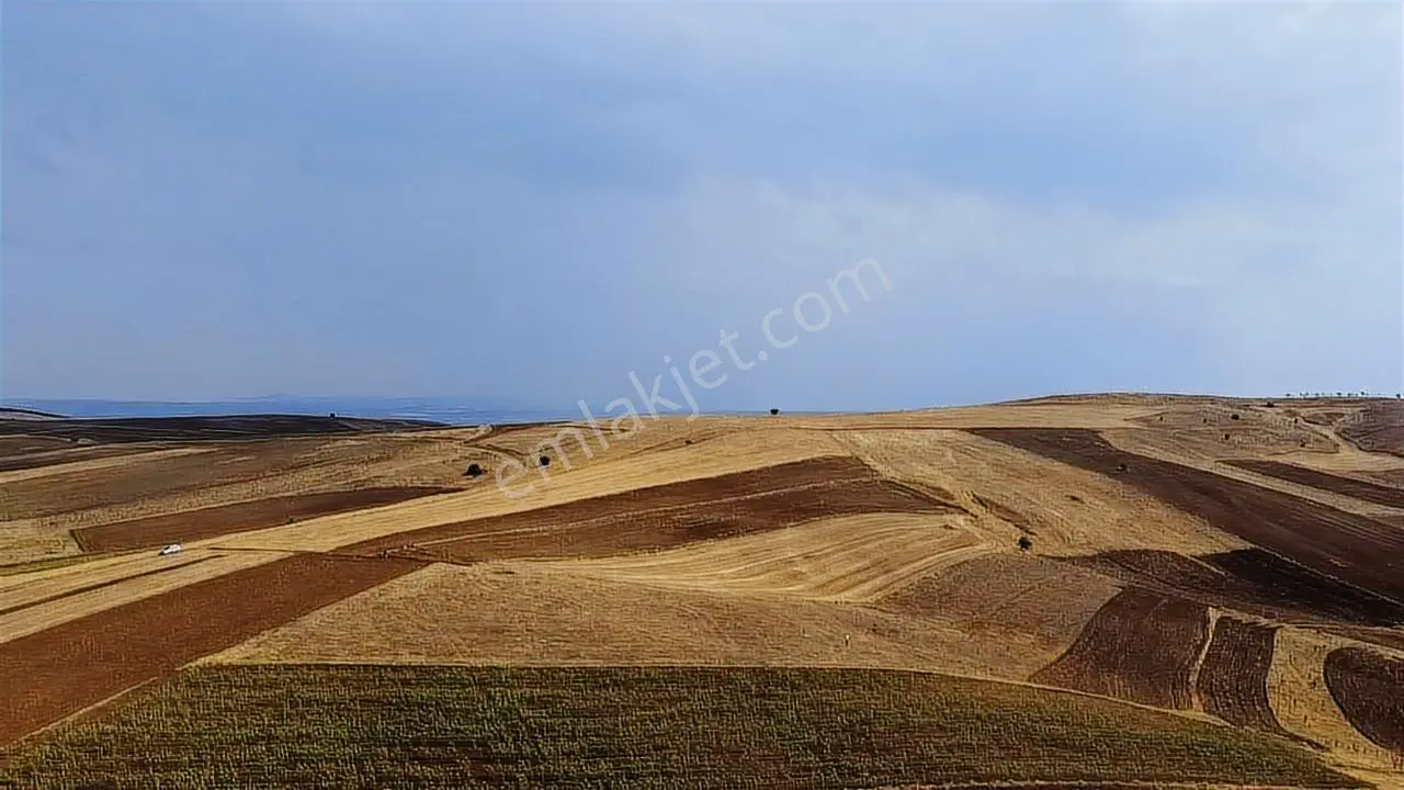 Rw Detaydan Uludere'de Satılık Tarla — fotoğraf 2
