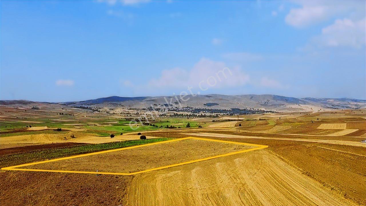 Rw Detaydan Uludere'de Satılık Tarla — fotoğraf 9