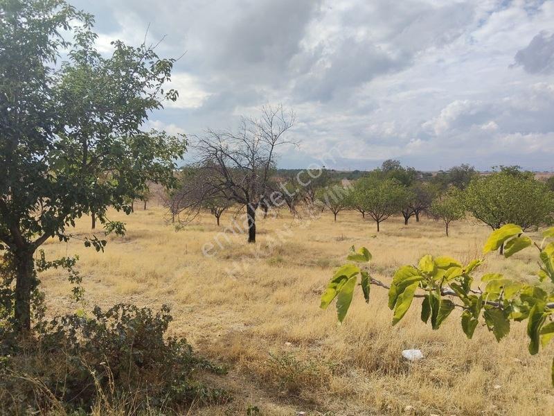 Kuyuluda Satılık 7 Dönüm Sulu Tarla — fotoğraf 5